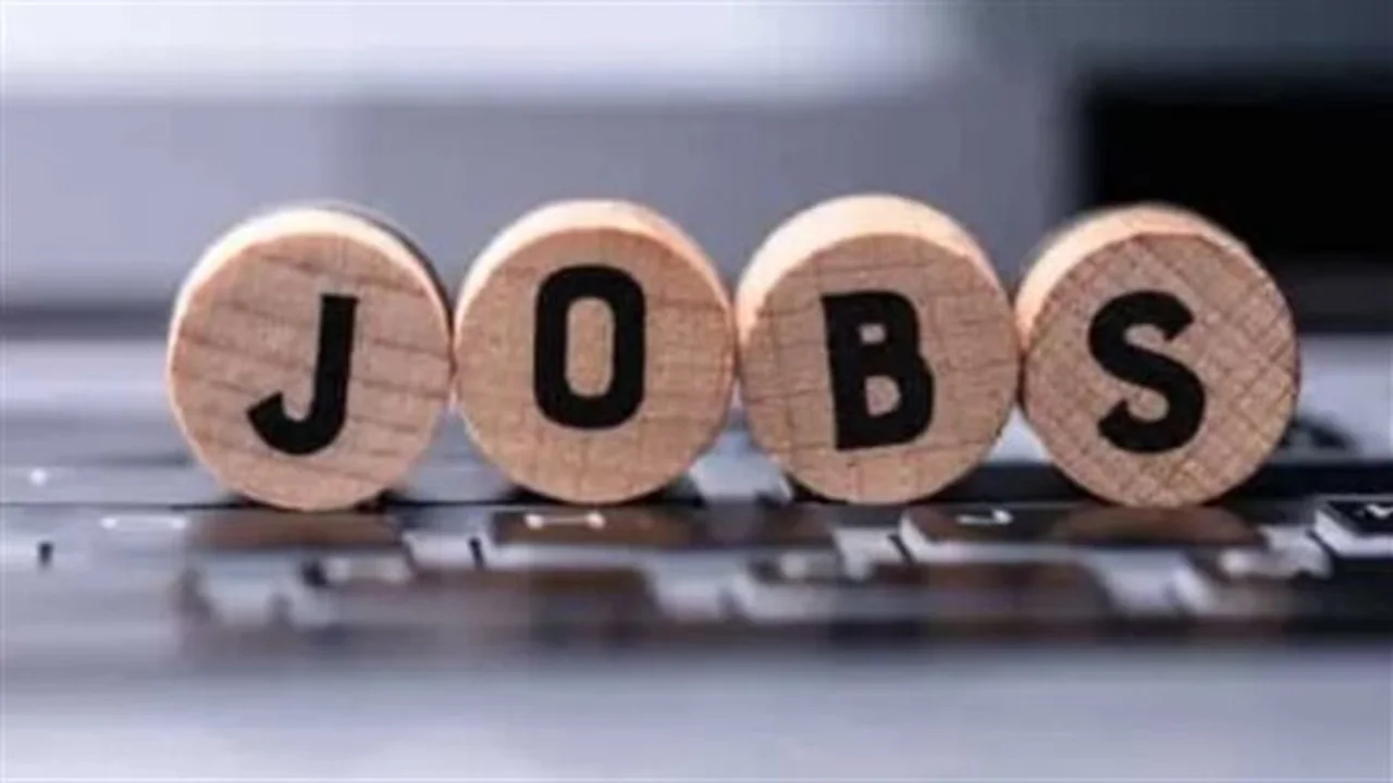 فرص عمل متاحة.. 6732 وظيفة توفرها وزارة العمل للشباب قبل نهاية أبريل